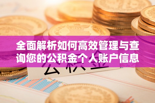 诚信全面解析如何高效管理与查询您的公积金个人账户信息