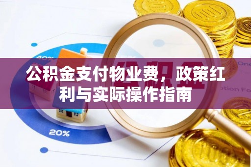 诚信公积金支付物业费，政策红利与实际操作指南