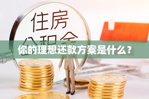 诚信你的理想还款方案是什么？