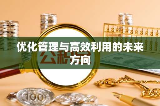 诚信优化管理与高效利用的未来方向